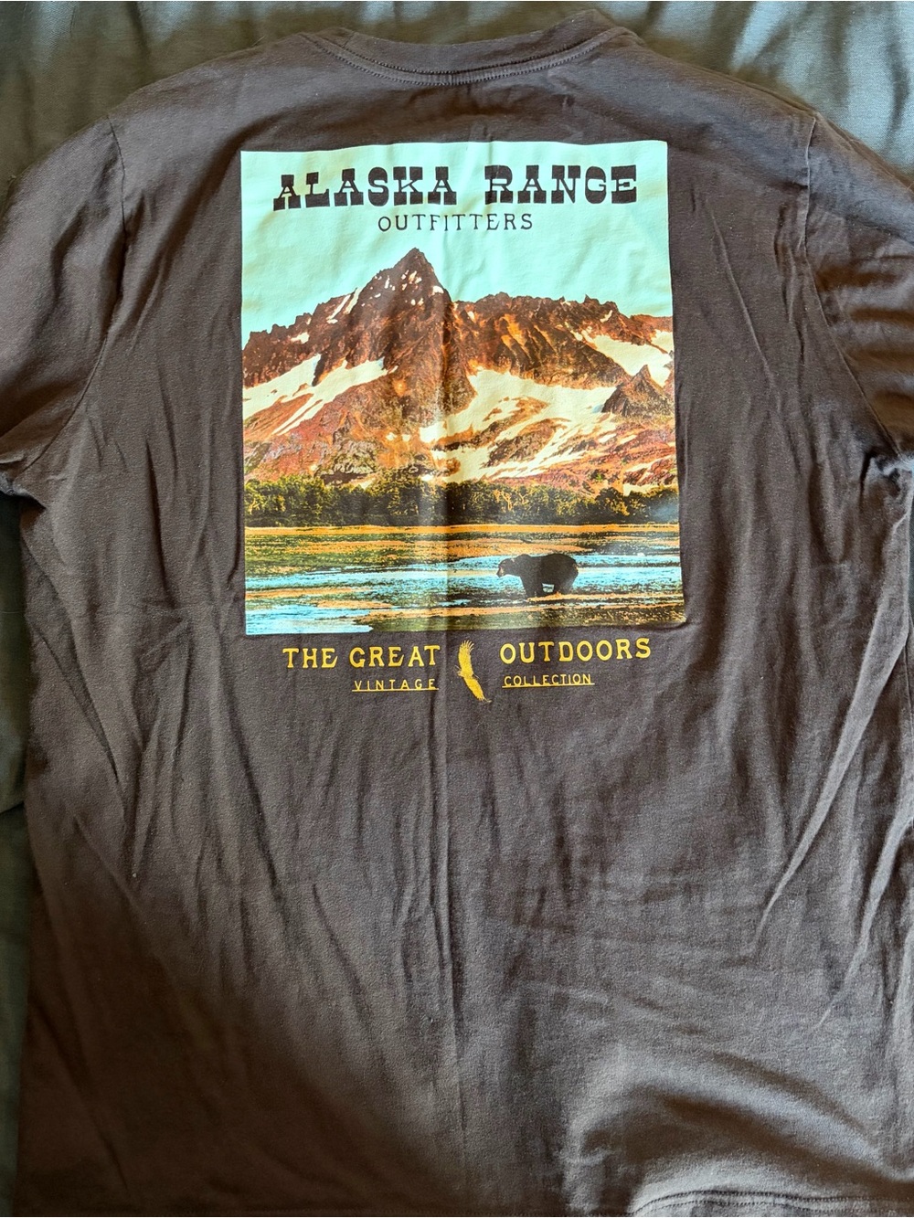 Old Navy Brown Graphic Tee